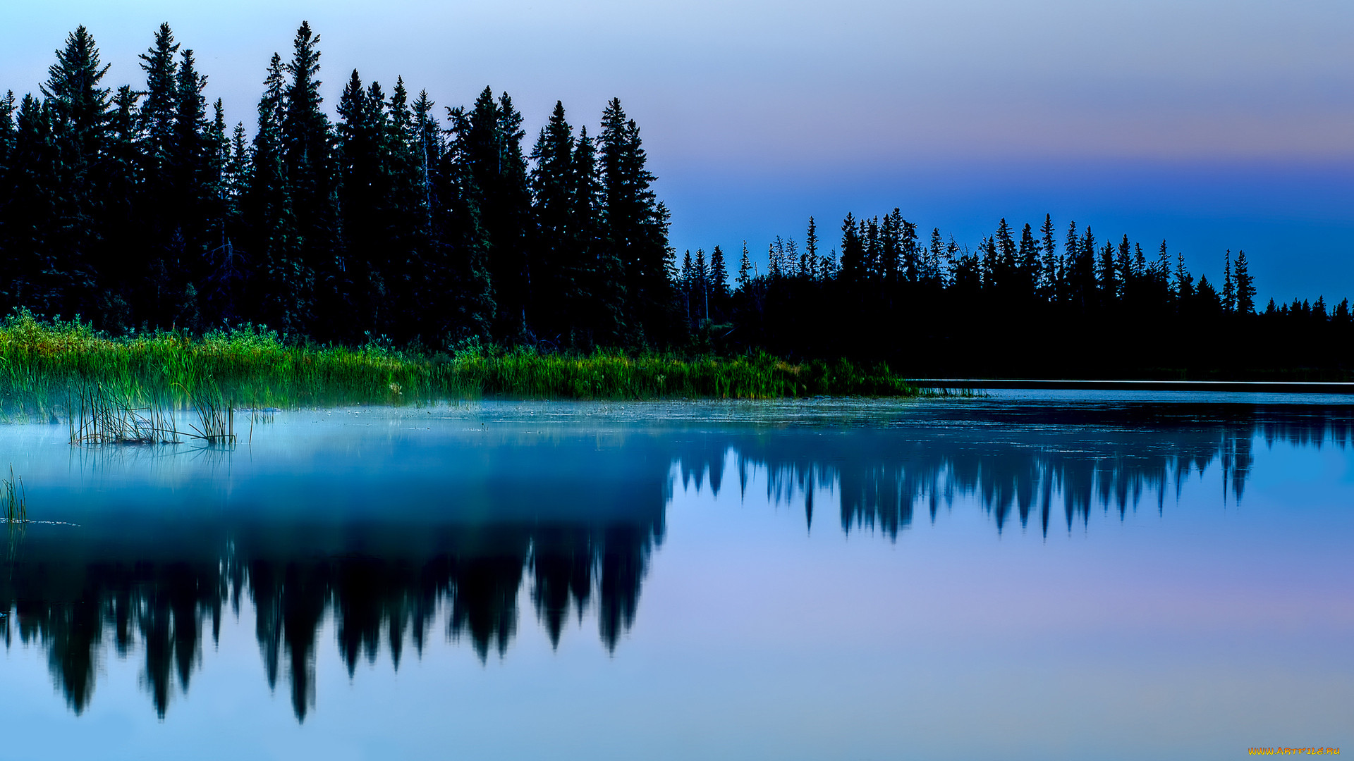 reflection, , , , , , , 
